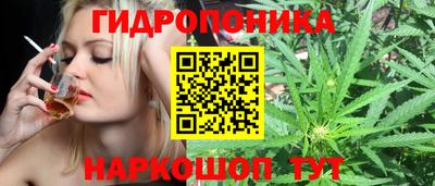индика Кумертау