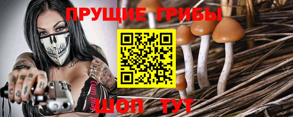 Усинск  как найти   Вход с VPN  Галлюциногенные грибы Psilocybe 